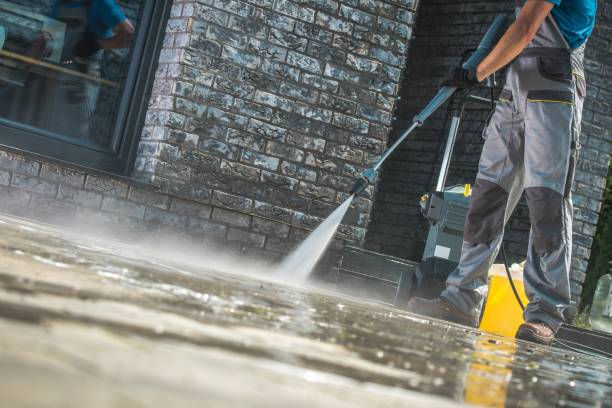 Best Animal Enclosure Cleaning  in Plano, TX